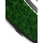 Зеркало Континент Forest LED круглое Зеркало Континент Forest LED круглое